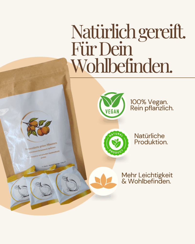 Aprikose 11 Stück pro Packung - Aktion 3+1