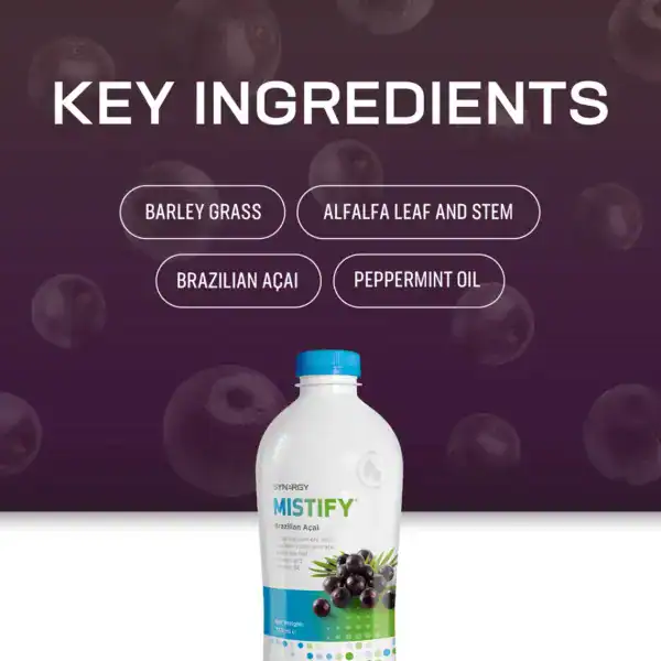 Mistify – Bild 5