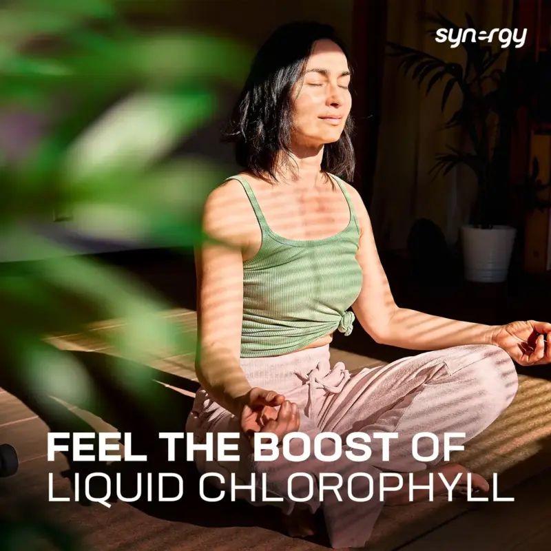 PhytoLife – Bild 2