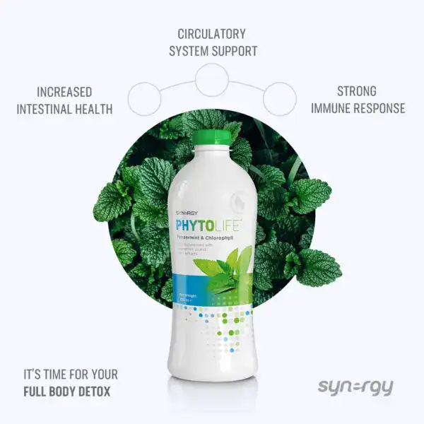 Frischer Pfefferminz- und Chlorophyll-Spirituose für ganzheitliche Detox-Kur, fördert Darmgesundheit und stärkt das Immunsystem, ideal für Vitalitätssteigerung.