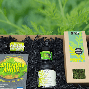 "Artemisia anua" Themenbox